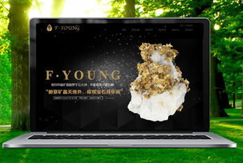 ��ũ�ܸ������ﱦʯ